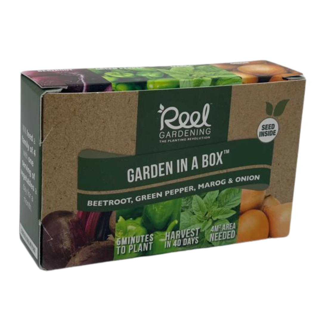 Small Garden in a Box