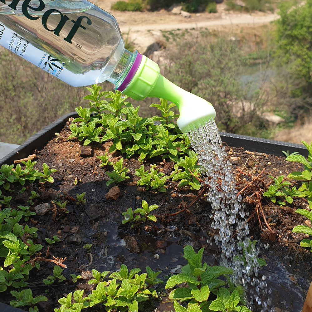 Medium Garden in a Box