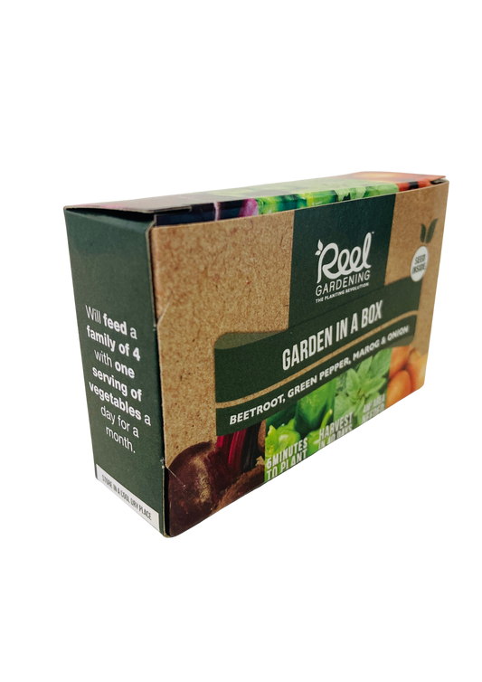 Small Garden in a Box