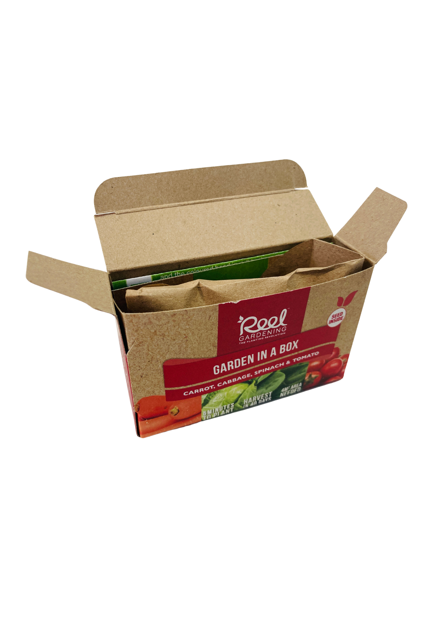 Small Garden in a Box