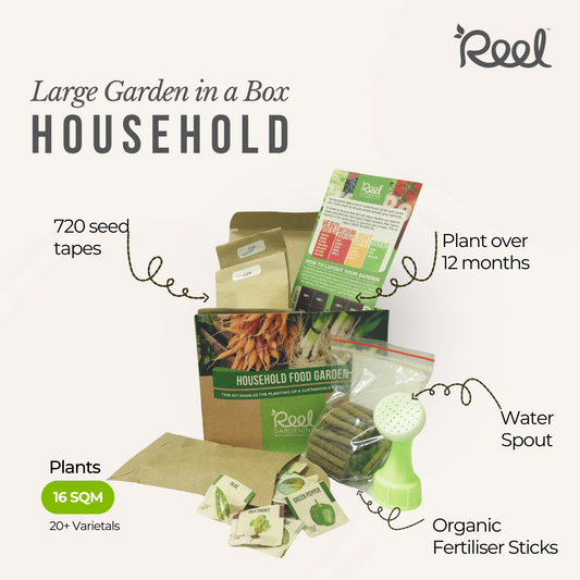 Large Garden in a Box