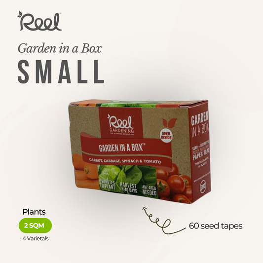 Small Garden in a Box