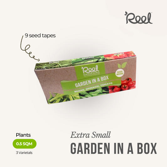 X-Small Garden in a Box