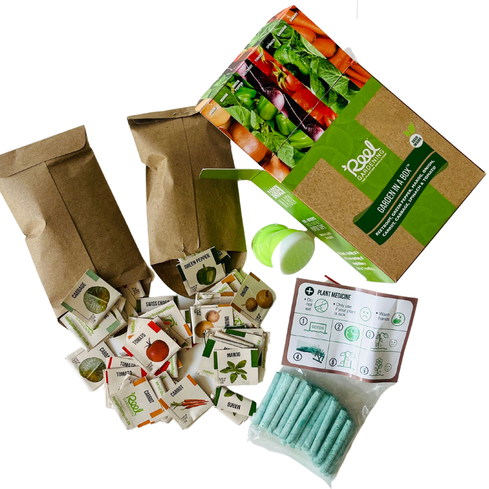 Medium Garden in a Box