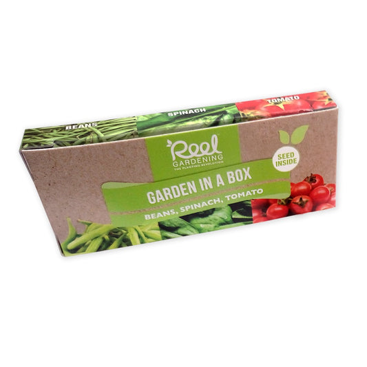 X-Small Garden in a Box